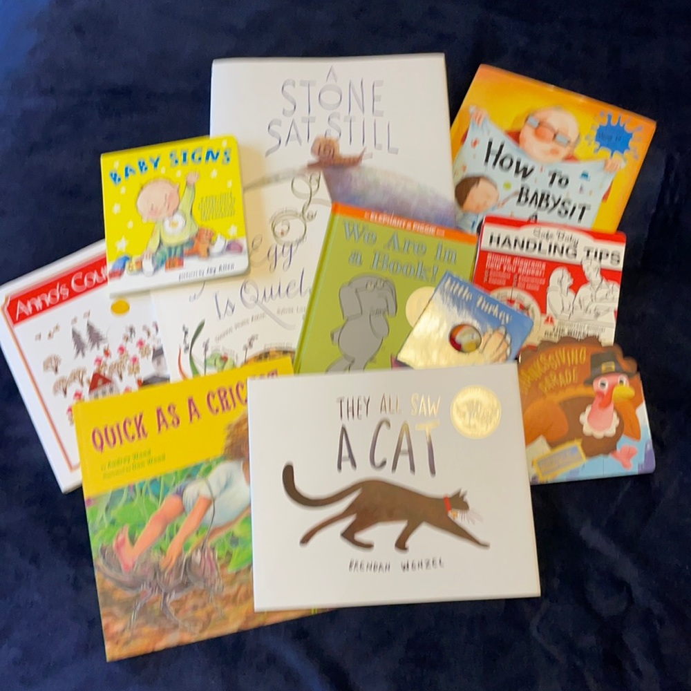 LIKE NEW BOOK LOT (11 books)